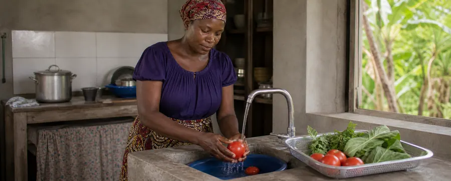 Imagem principal do artigo: Como lavar frutas e vegetais com segurança